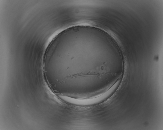 X0000111511240200907281307