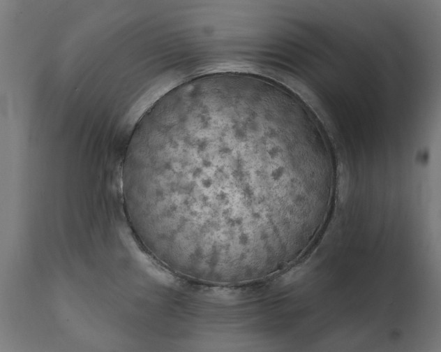 X0000111511241200907281307