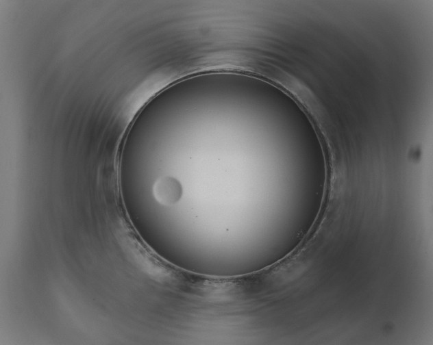 X0000111511242200907281307