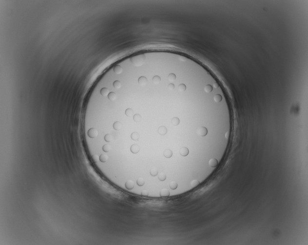 X0000111511245200907281307