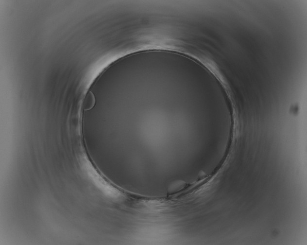X0000111511246200907281307