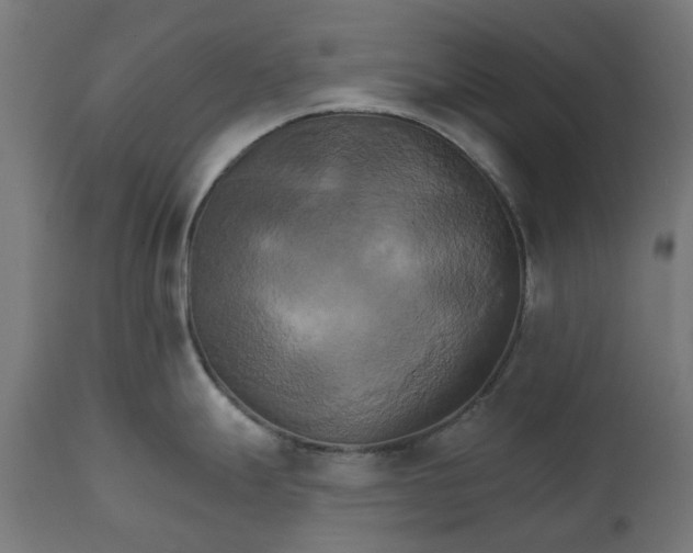 X0000111511247200907281307