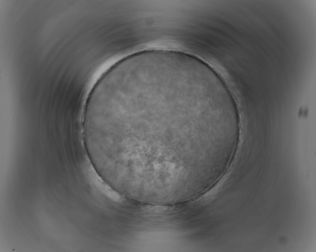 X0000111511248200907281307