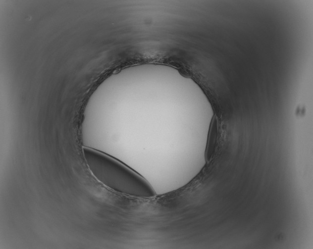 X0000111511249200907281306