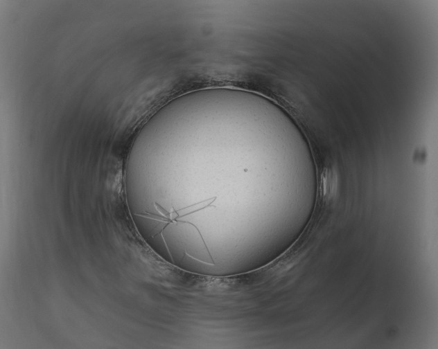 X0000111511251200907281306