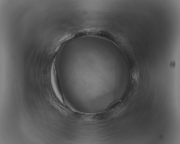 X0000111511252200907281306