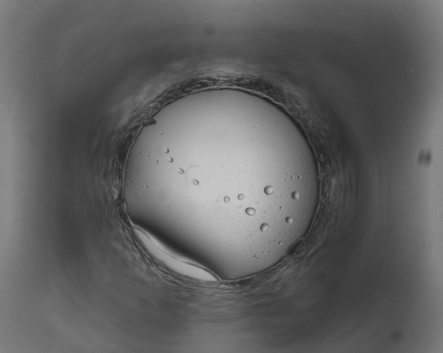 X0000111511253200907281306