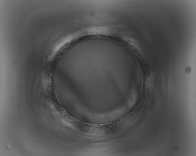 X0000111511254200907281306