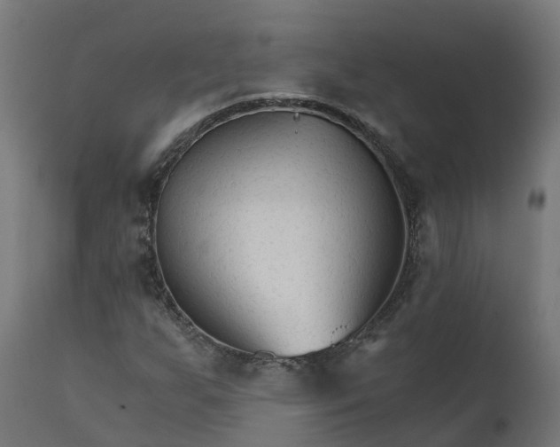 X0000111511255200907281306