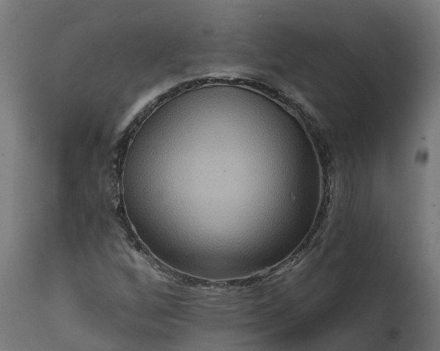 X0000111511256200907281306