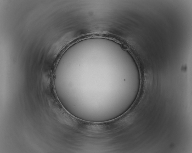 X0000111511257200907281306