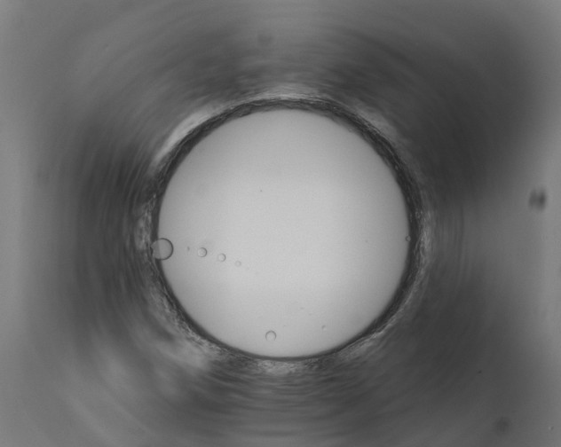 X0000111511258200907281306