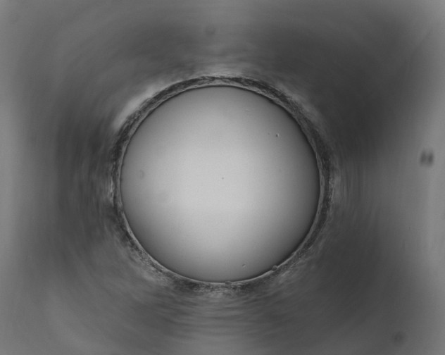X0000111511262200907281306