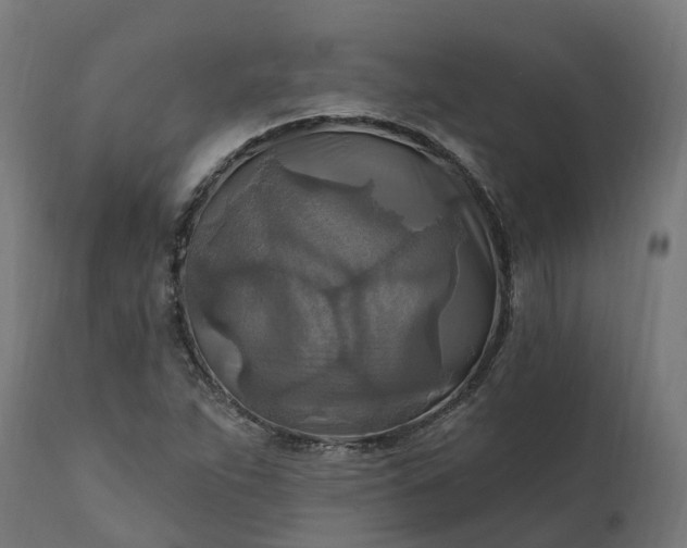 X0000111511263200907281306