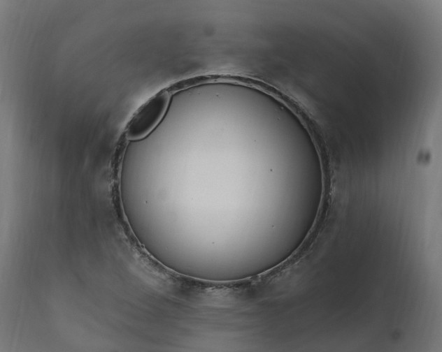 X0000111511264200907281306