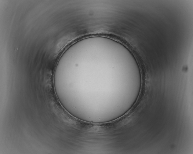 X0000111511265200907281306