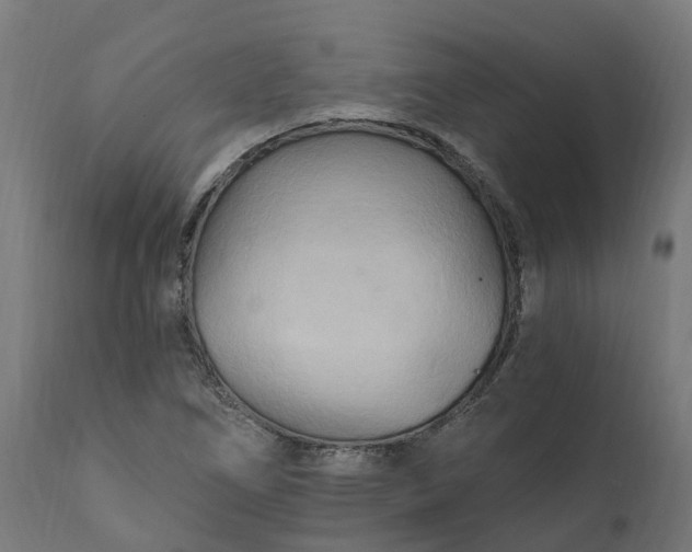 X0000111511266200907281306