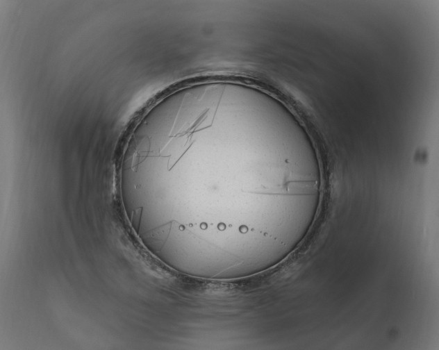 X0000111511267200907281306