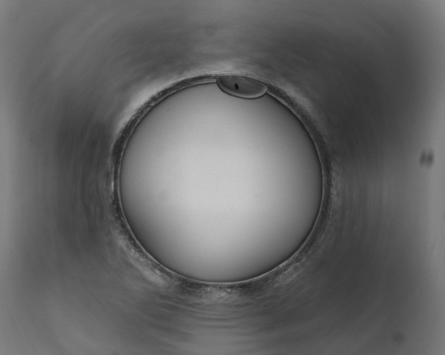 X0000111511270200907281306