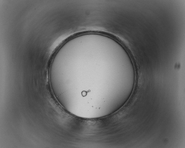 X0000111511271200907281306