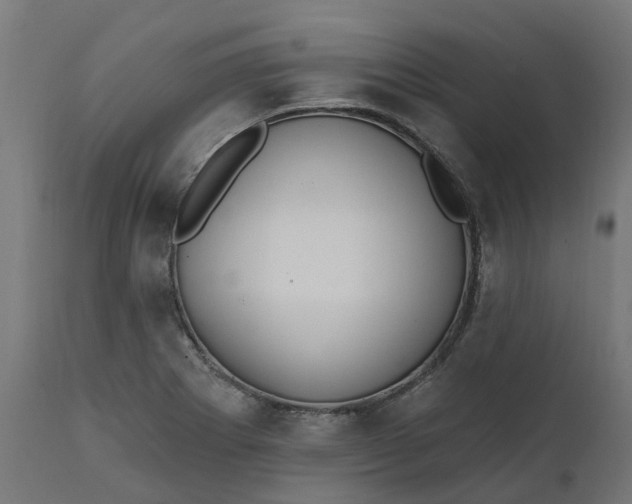 X0000111511273200907281306