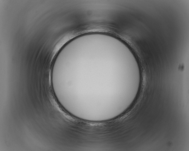 X0000111511274200907281306