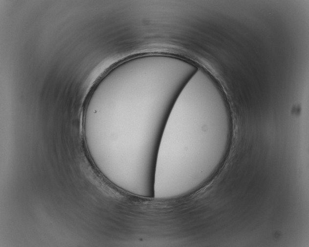 X0000111511275200907281306