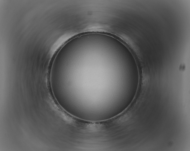 X0000111511277200907281306