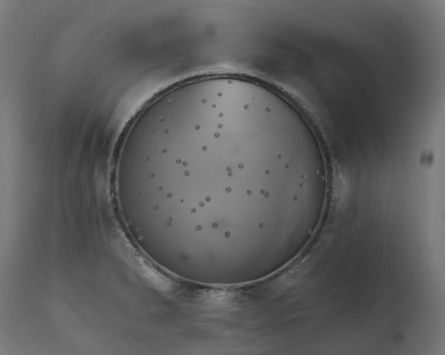 X0000111511278200907281306