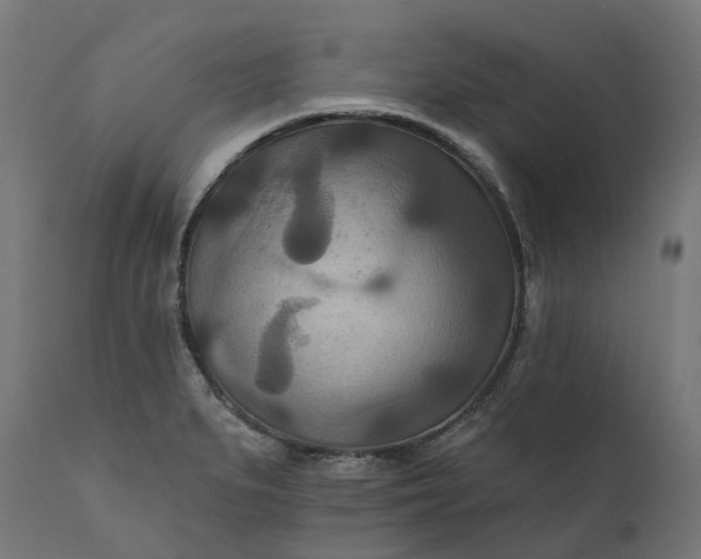 X0000111511279200907281306