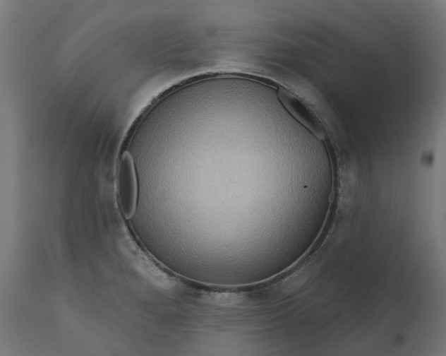 X0000111511280200907281306