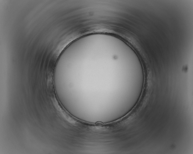 X0000111511281200907281306
