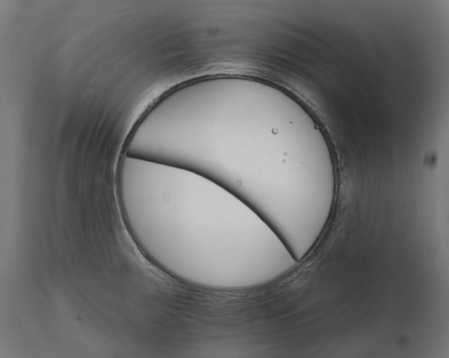 X0000111511283200907281306