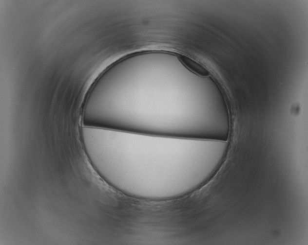 X0000111511284200907281306