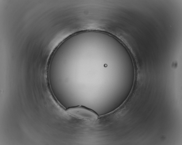 X0000111511285200907281306
