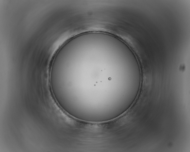 X0000111511286200907281306