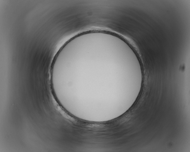X0000111511287200907281306