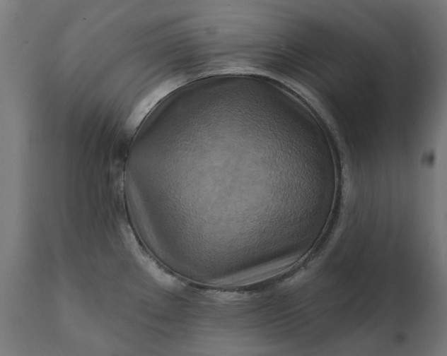 X0000111511289200907281306