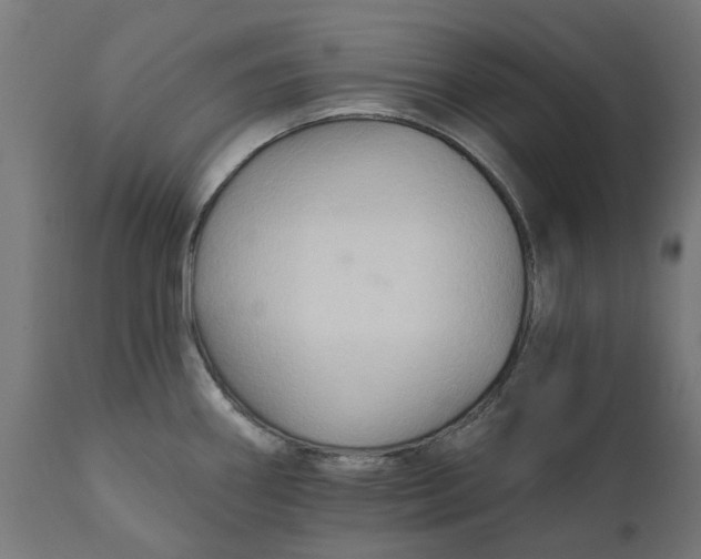 X0000111511290200907281306