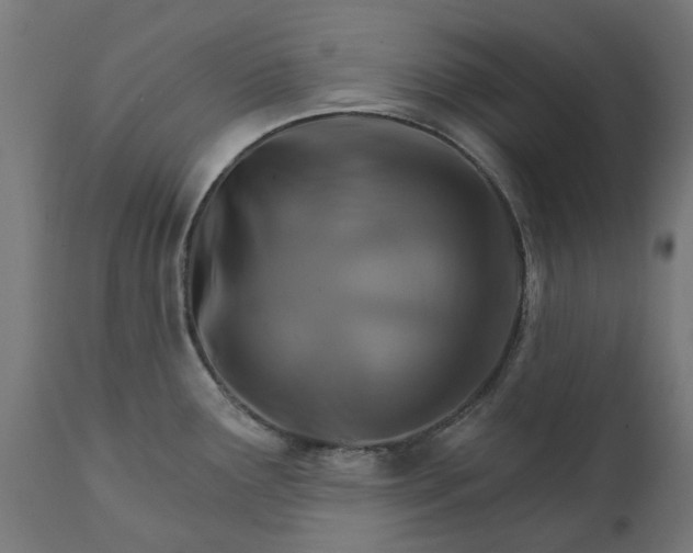 X0000111511291200907281306