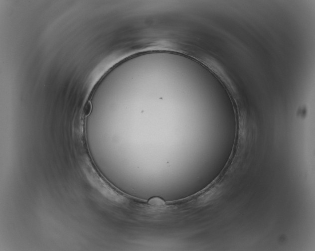X0000111511292200907281306