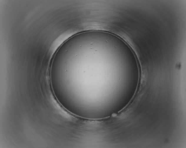 X0000111511293200907281306