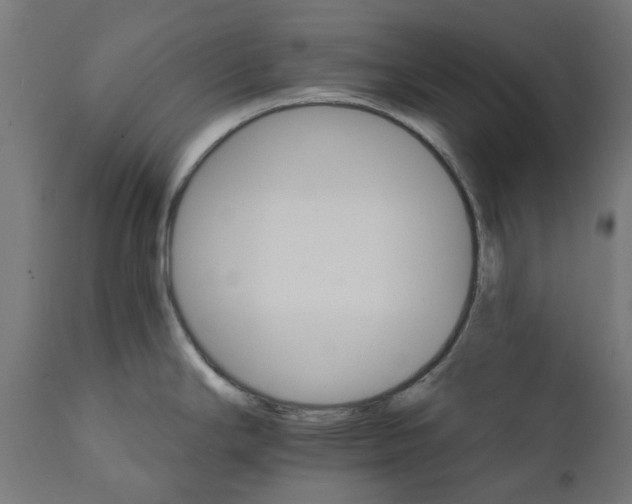 X0000111511294200907281306