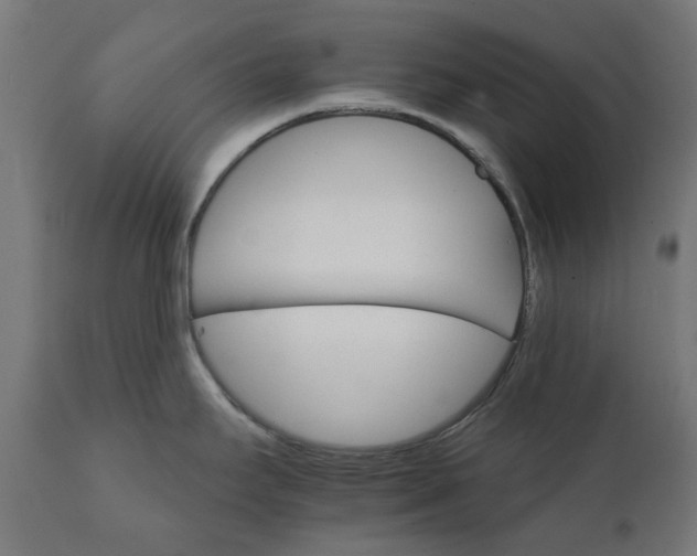 X0000111511295200907281306