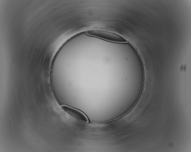 X0000111511296200907281306