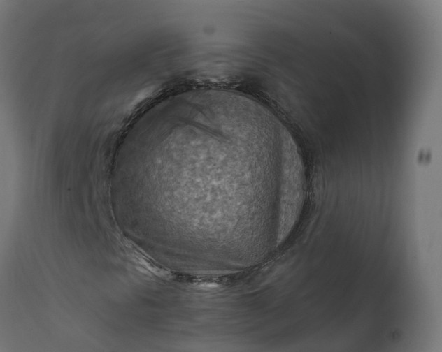 X0000111511297200907281305