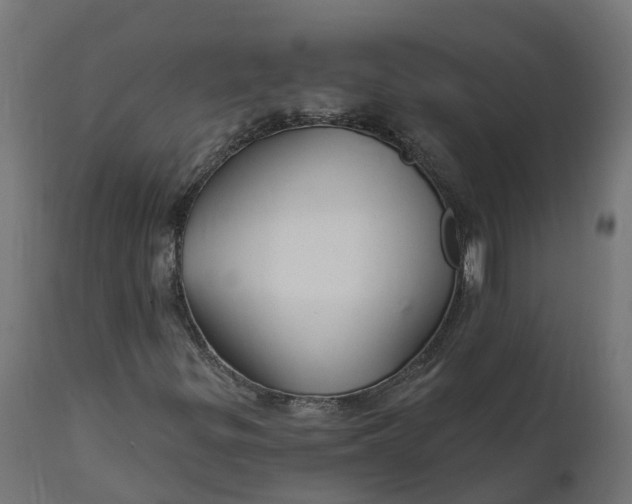 X0000111511299200907281305