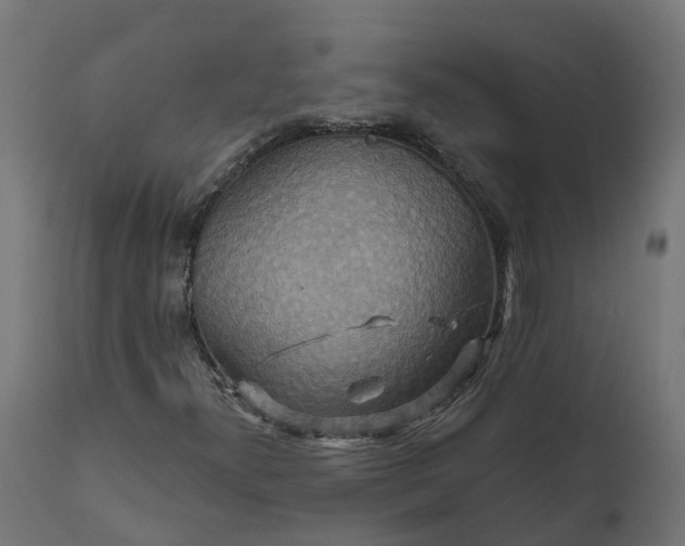 X0000111511300200907281305