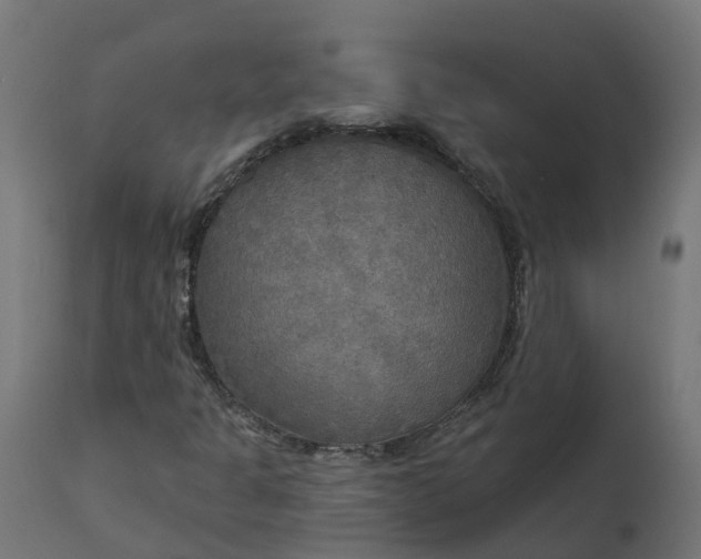 X0000111511301200907281305
