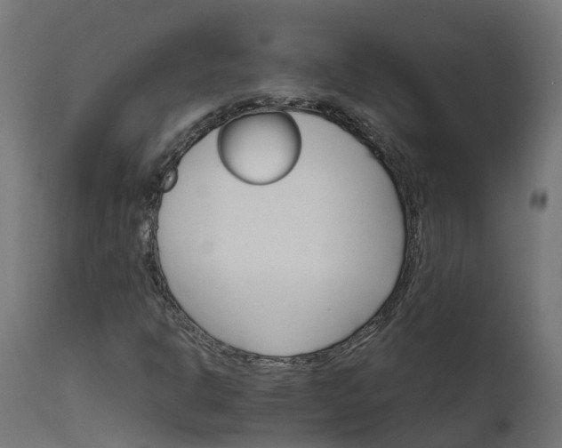 X0000111511302200907281305